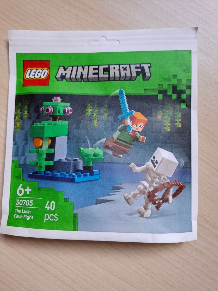 LEGO Minecraft® 30705 - Combat dans la caverne luxuriante