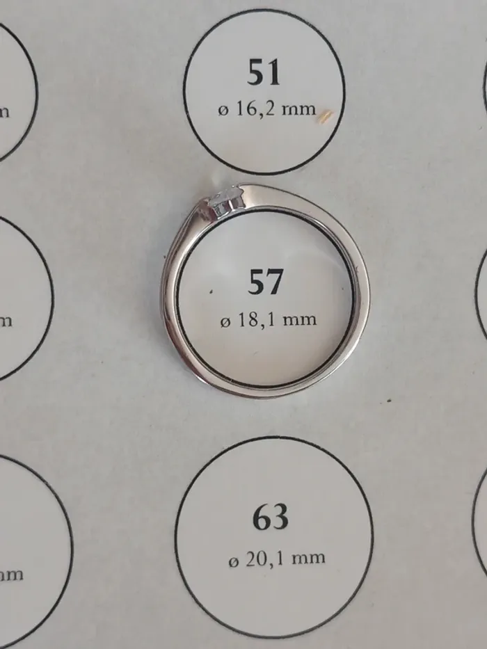 Bague en argent taille 57 - photo numéro 7