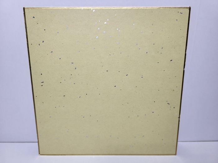 Kamen Rider Ichiban Kuji Shikishi 20X20Cm - photo numéro 2