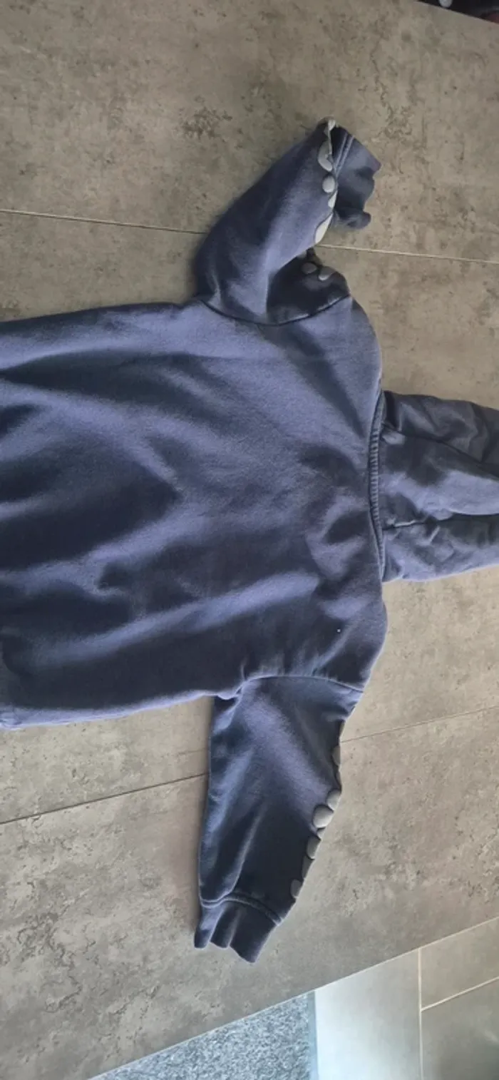 Pull a capuche Dinosaures garcon - photo numéro 4