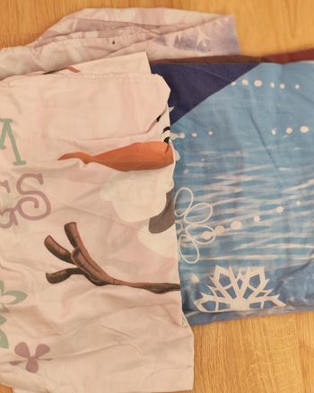 Housse de couette reine des neiges
