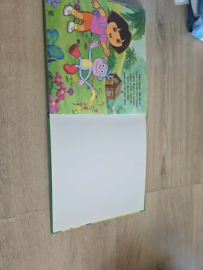 Livre dora l'exploratrice - photo numéro 6