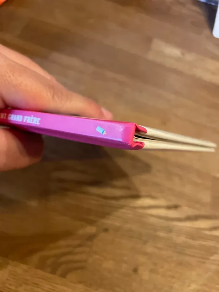 Livre P’tit Loup devient grand frère - photo numéro 8