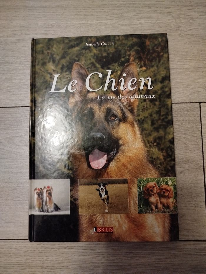 Le chien