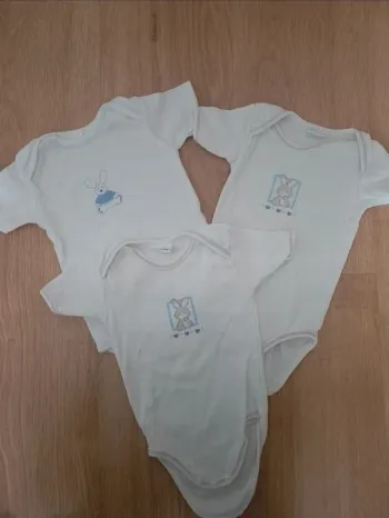 Lot de 3 bodies 12 mois