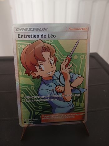Entretien de Léo 162/168 tempête céleste FR