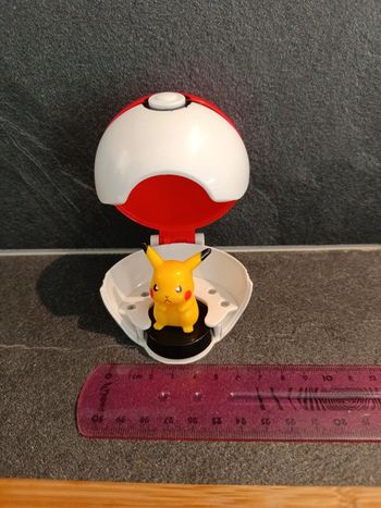 Pokémon Pokéball Pikachu 2004 poké ball