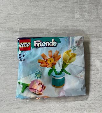 Lego botanique pochette
