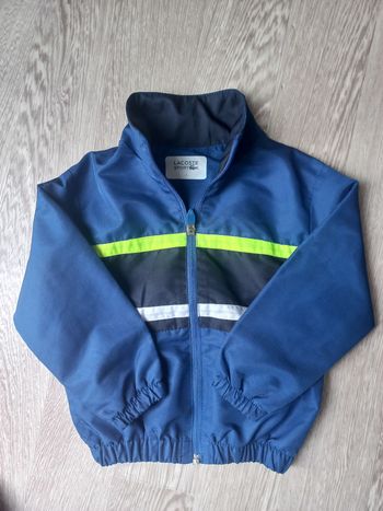 Veste lacoste