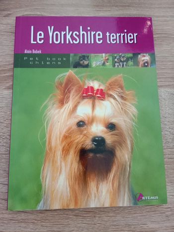 Alain Bobek 🪅 Le Yorkshire Terrier