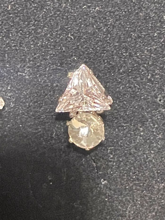 Puces d'oreille - photo numéro 3