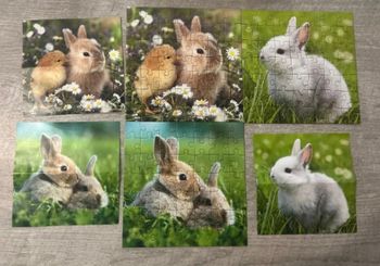Puzzle Lapin