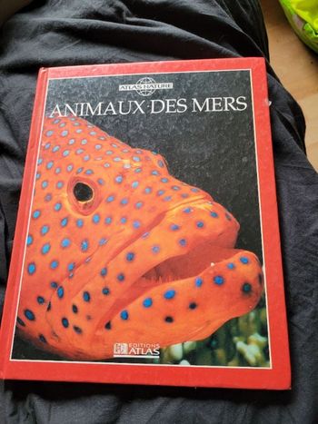 Animaux des mers