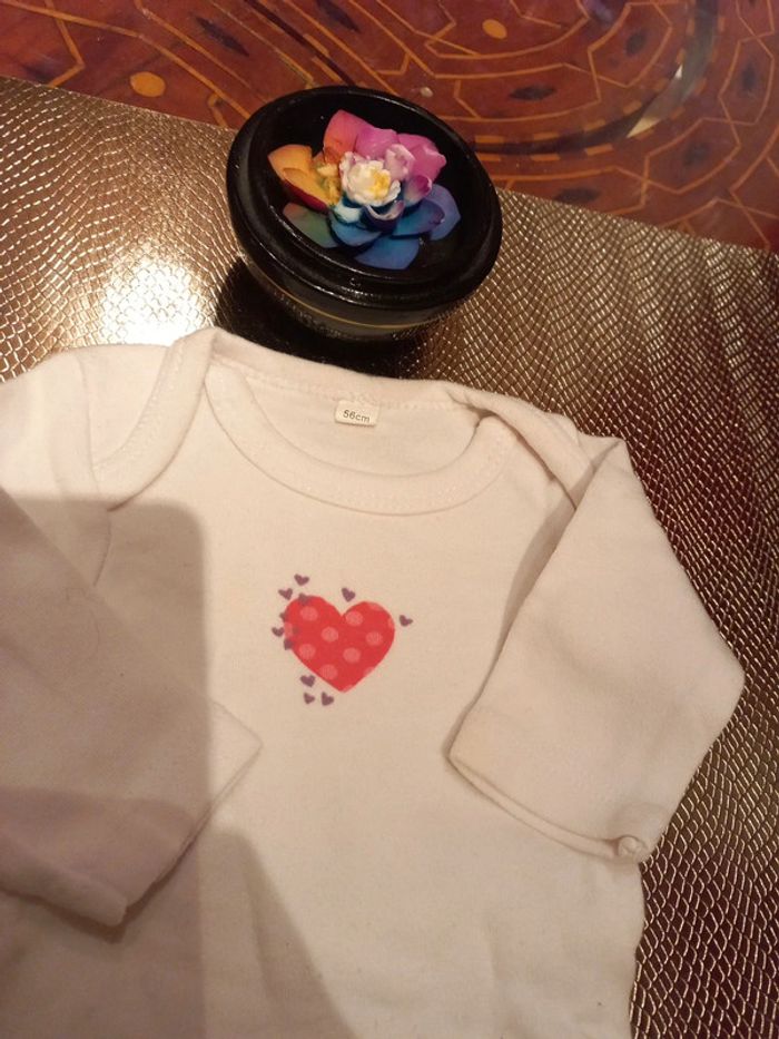 LOT 2 Bodys longs coton bio 0 a 3 mois - photo numéro 3