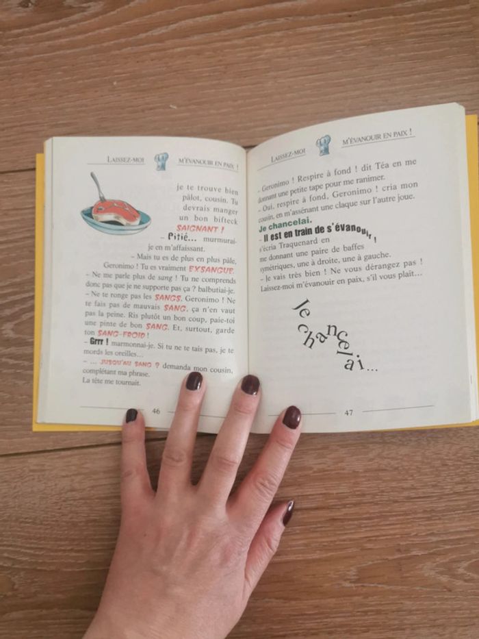 Livre geronimo stilton - photo numéro 3