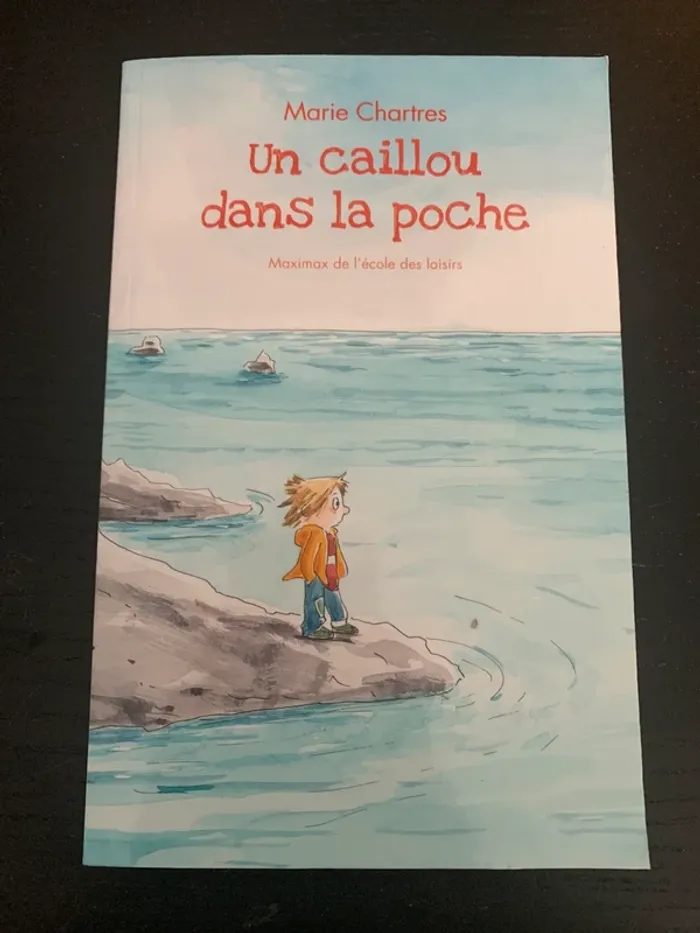 Un cailloux dans la poche, livre neuf