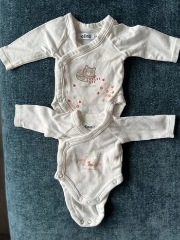 Lot de 2 bodys bébé fille