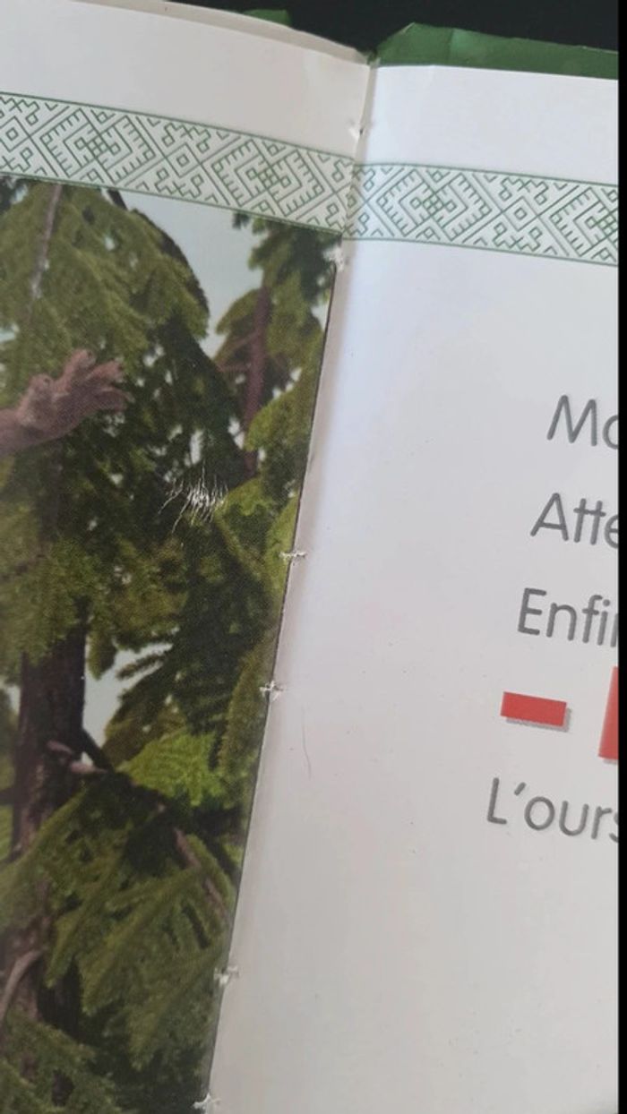 Livre masha et michka - photo numéro 8