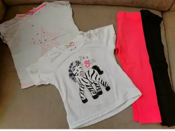 Petit lot 2 T  shirt + 2 legging