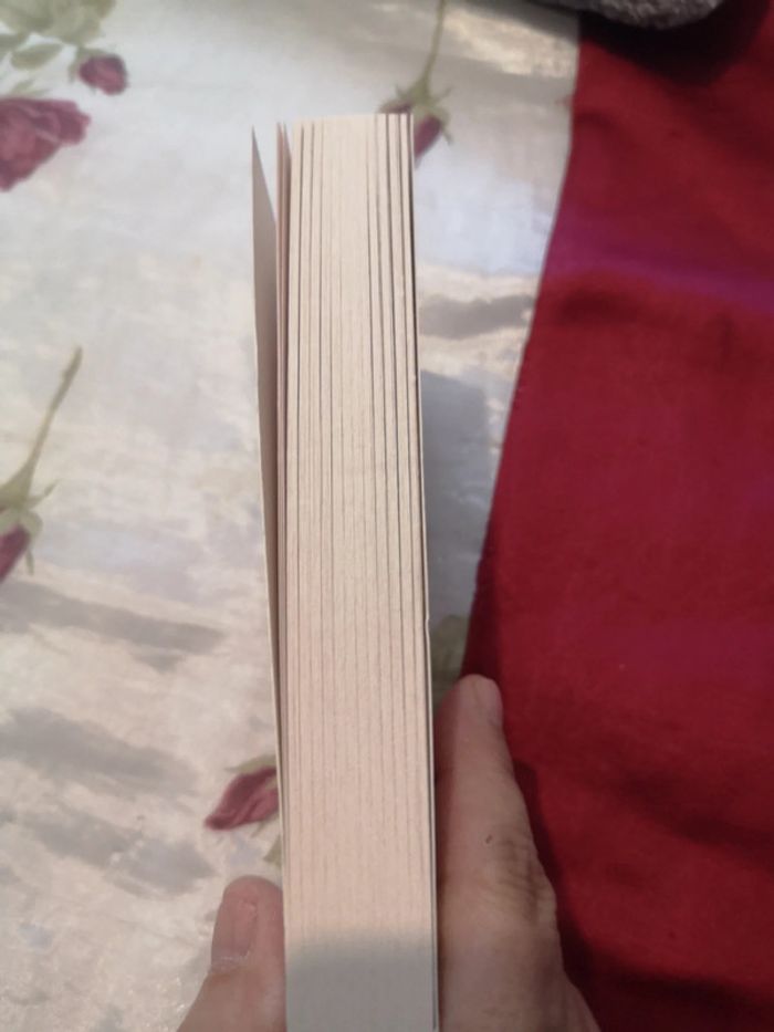 Belles plumes, petites histoires - photo numéro 4