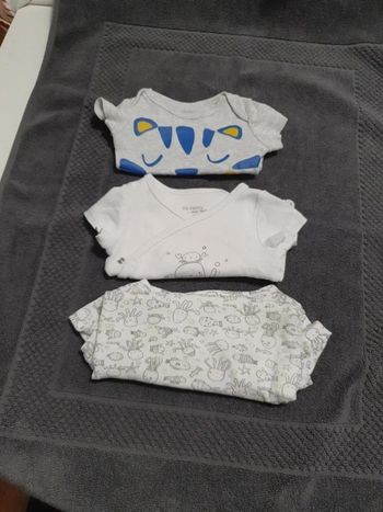 Lot de 3 bodies