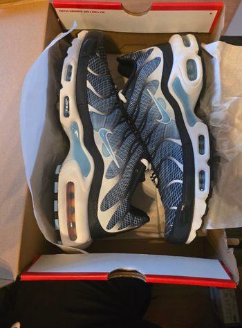 Nike air max plus TN