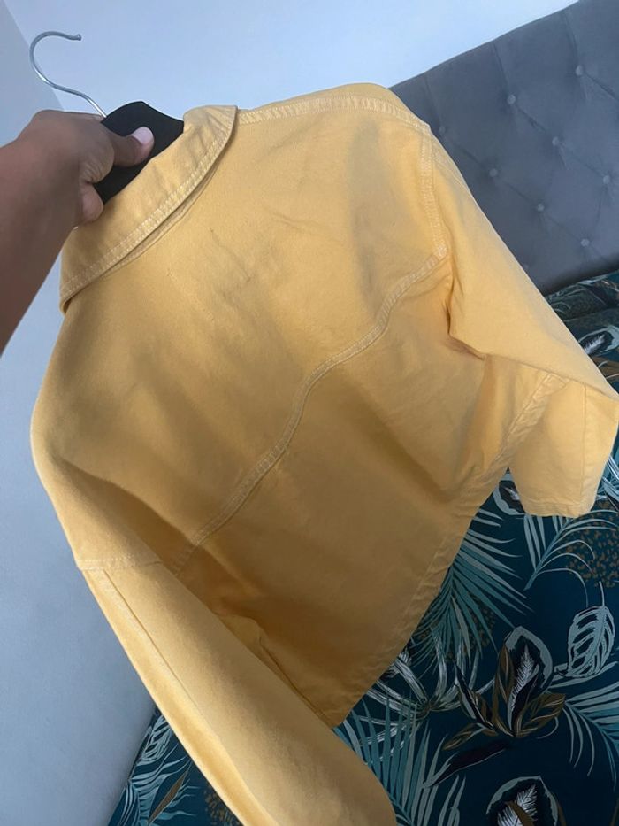 Veste - photo numéro 3