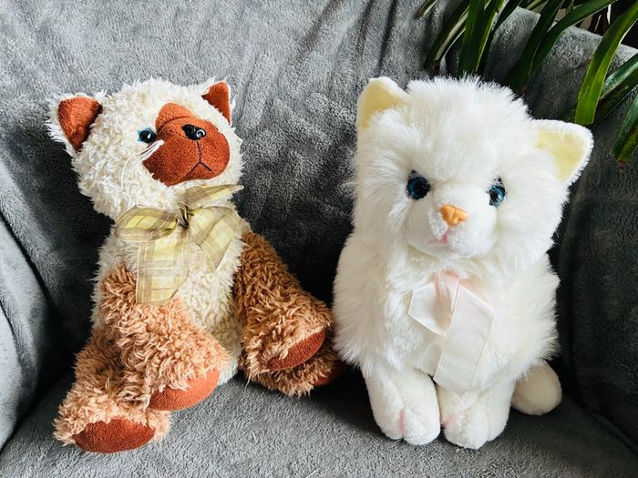 Lot peluches chat