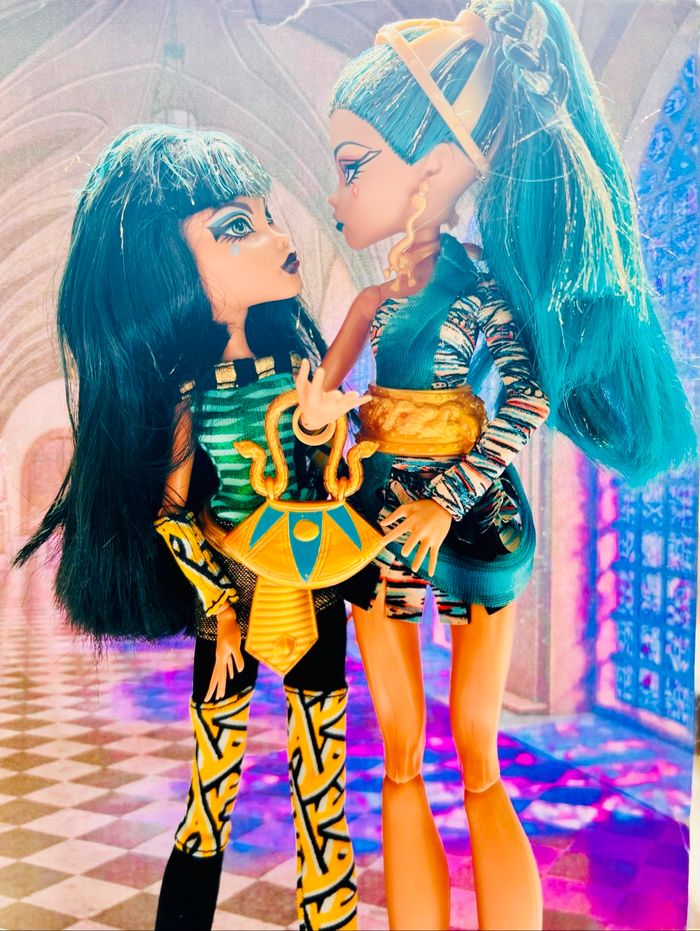 lot de 2 poupées Monster High de la marque Mattel, de la vague School's Out Wave 2 et de la vague Basic Wave 3. - photo numéro 4