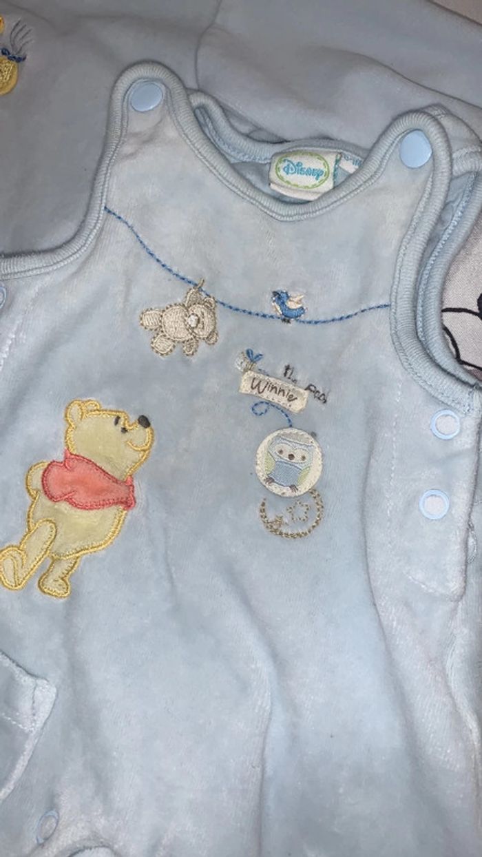 Lot winnie - photo numéro 4