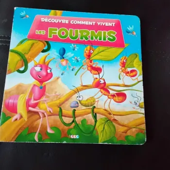 Découvre comment vivent les fourmis