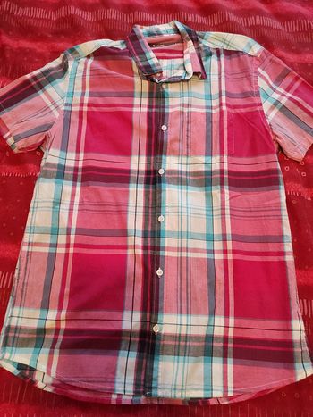 Chemisette jules tL tbe