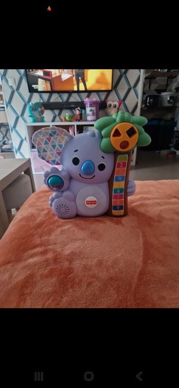 Nicolas le koala