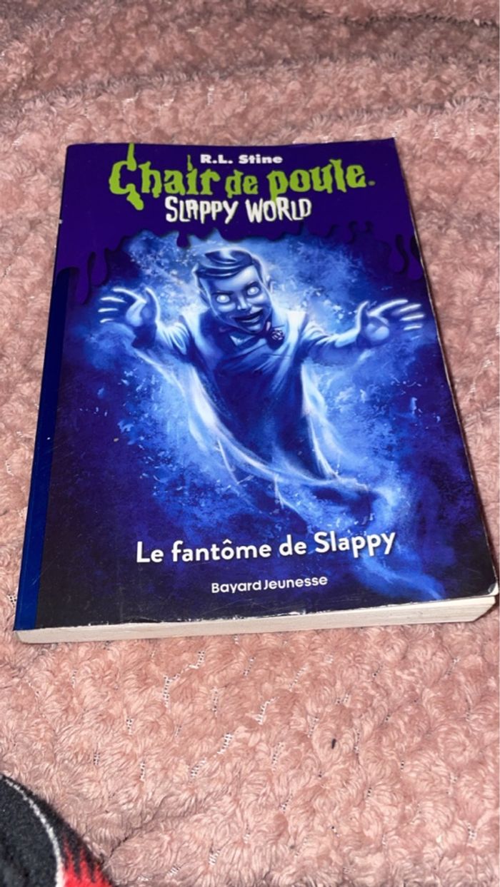 Livre chaire de poule - photo numéro 7