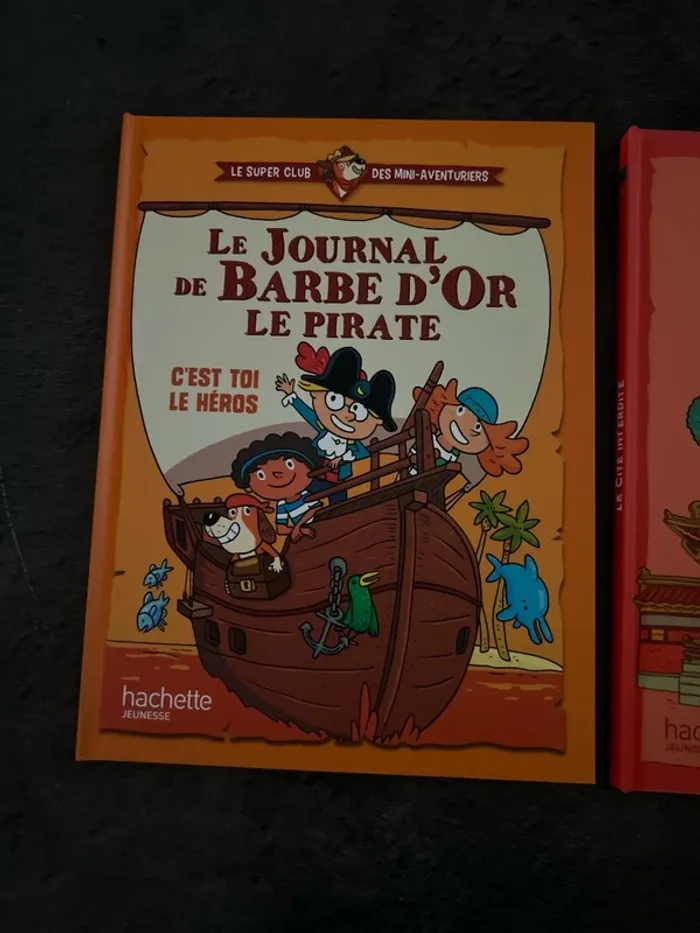 Livres - photo numéro 2
