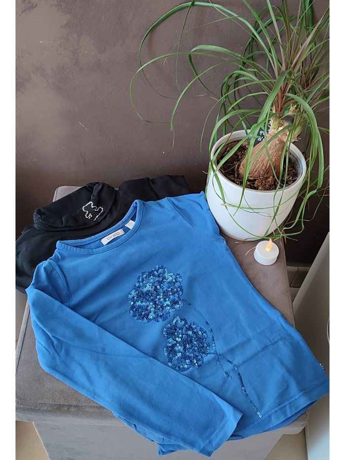 Lot 2 tee-shirts 6 ans