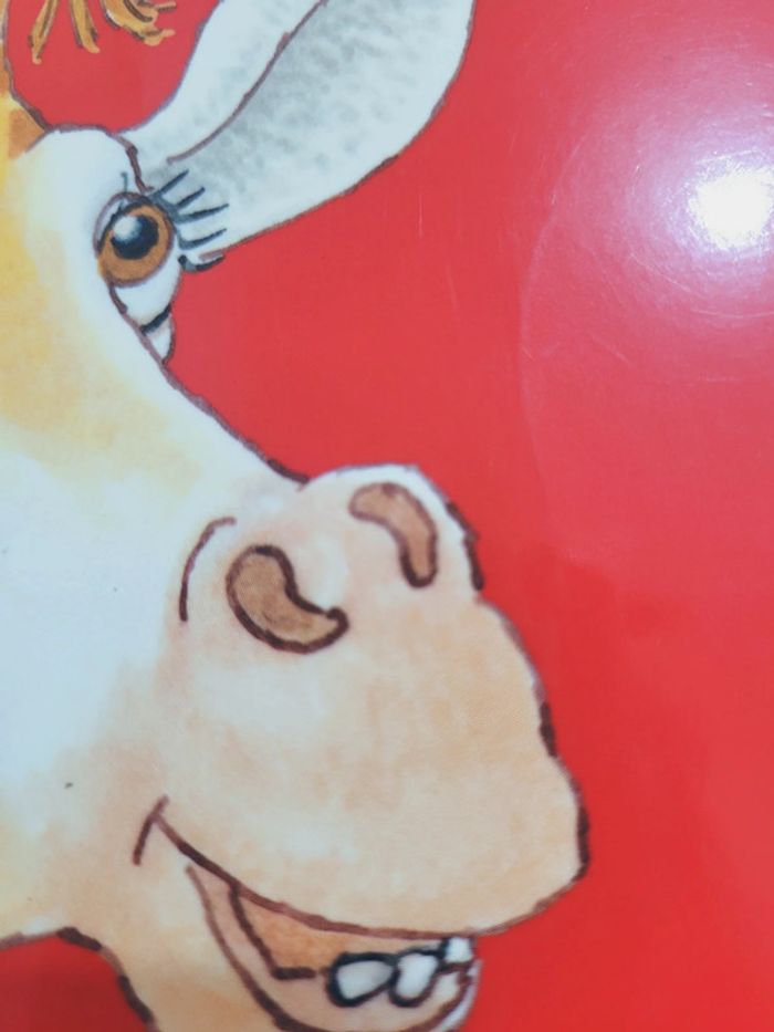 🌺 Livre (école des loisirs) : Grand - photo numéro 10