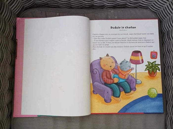 Livre d'histoires de chats et chatons - photo numéro 3