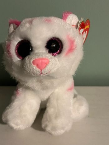Chaton TY