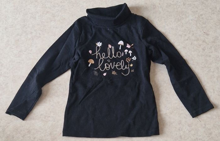 Lot pulls colis roulé - photo numéro 2