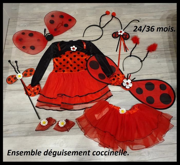 Ensemble déguisement coccinelle + reine des neiges 24/36 mois - photo numéro 2