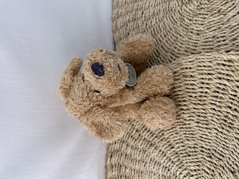 Doudou et compagnie chien beige marron