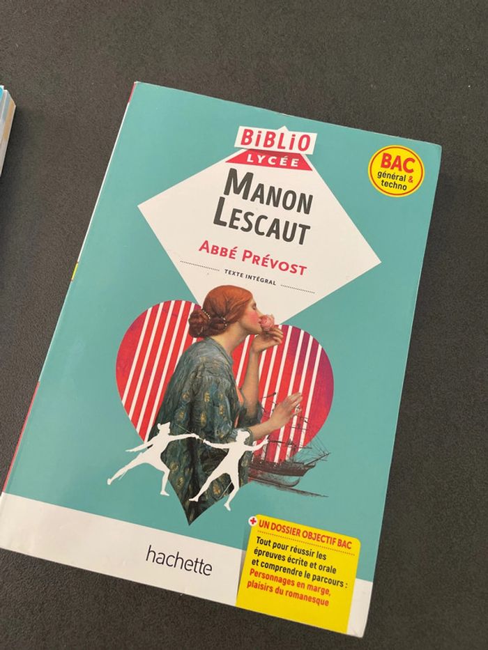 Manon Lescaut étude livre analyse lot première bac français lycée - photo numéro 2