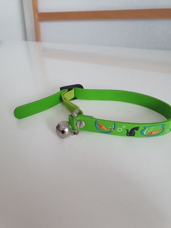 Collier chat grelot silicone vert 34x1,2cm