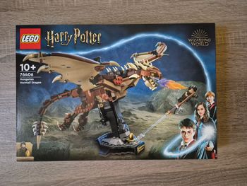NEUF Boite de Lego 76406 Harry Potter Le Magyar à pointes