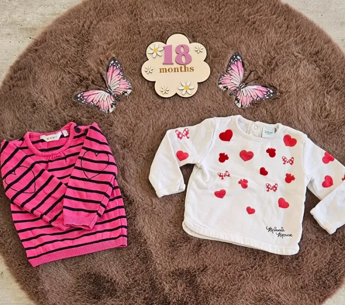 Lot de 2 pull chaud 18 mois fille coeur