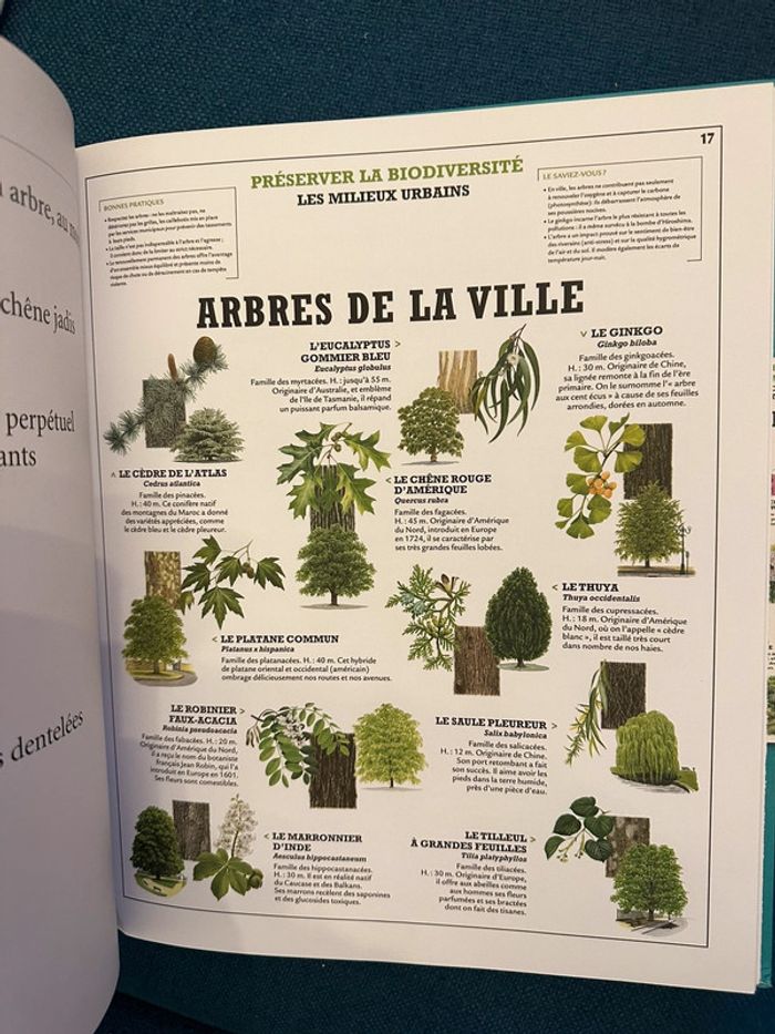Grand livre Deyrolle pour l’avenir Comprendre la Terre Hoebeke album Louis Albert de Broglie - photo numéro 4