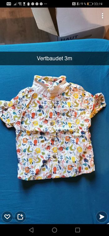 Bob réversible et chemise animaux