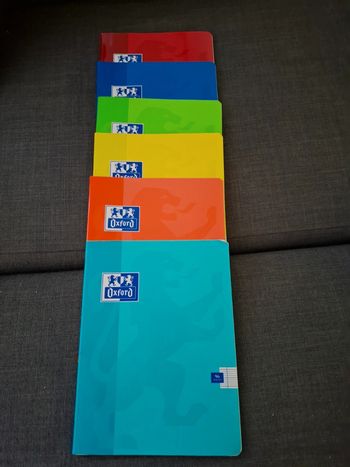 Lot 6 cahier 17x22 96 pages