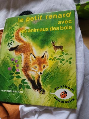 Le petit renard avec les animaux des bois